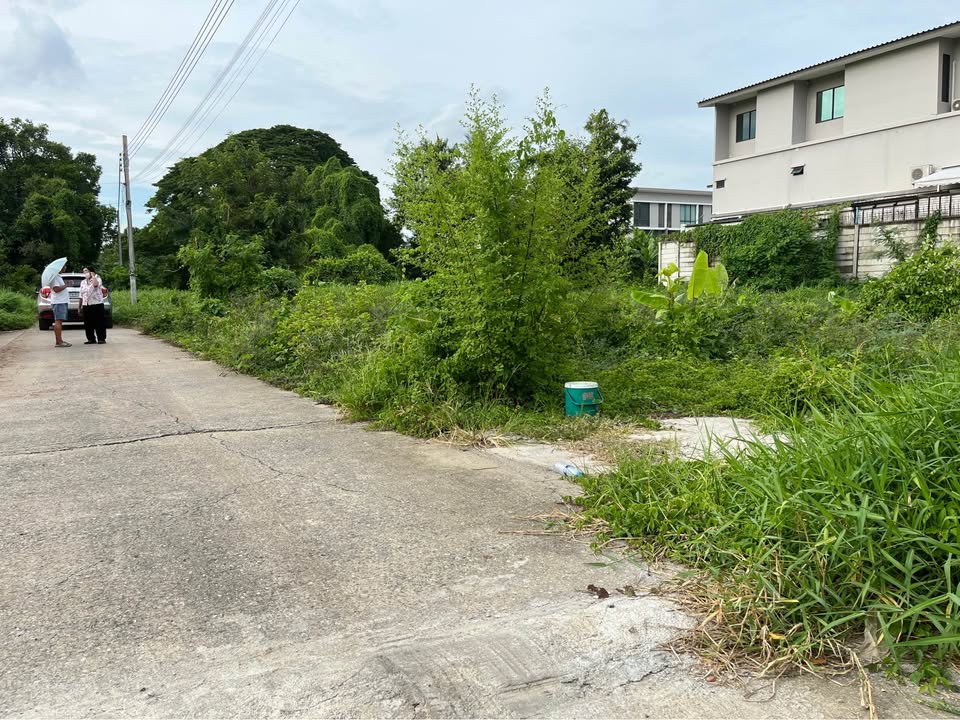 ขายที่ดินบางกรวย ไทรน้อย26