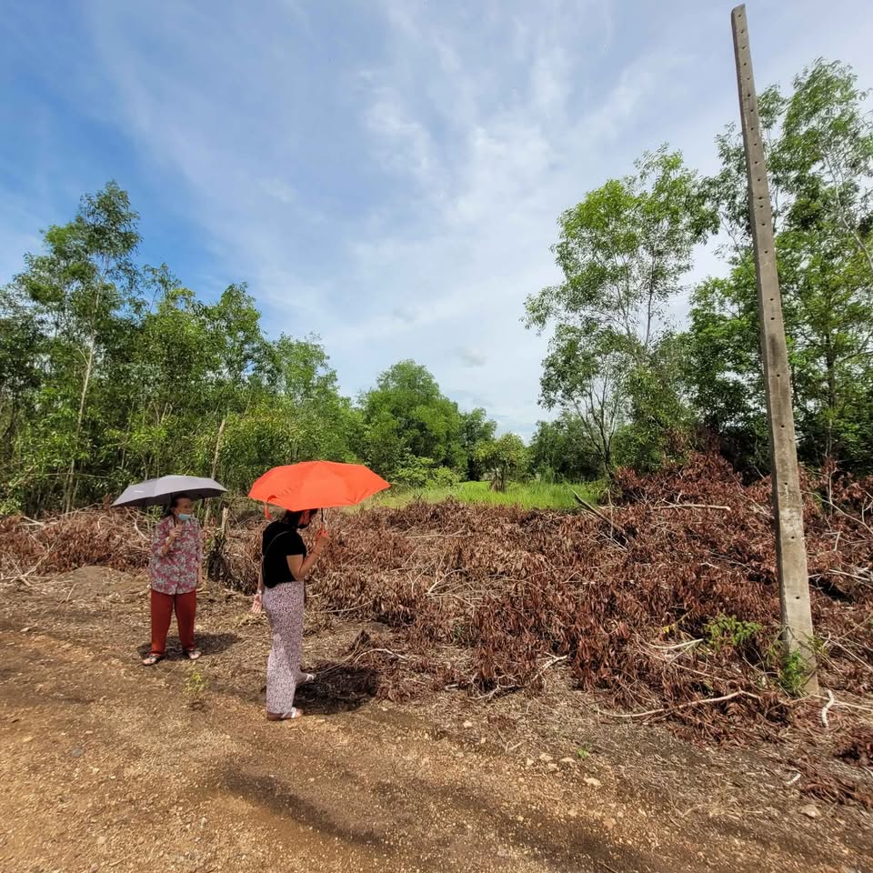 ขายที่ดินรกร้าง7 100ตรว. ซอยสวนป่า คลอง11จ้า