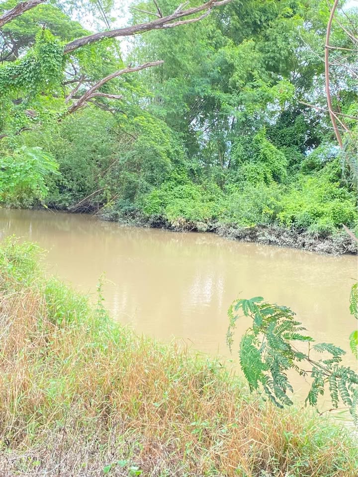 บ้านสีมุม เนื้อที่19ไร่