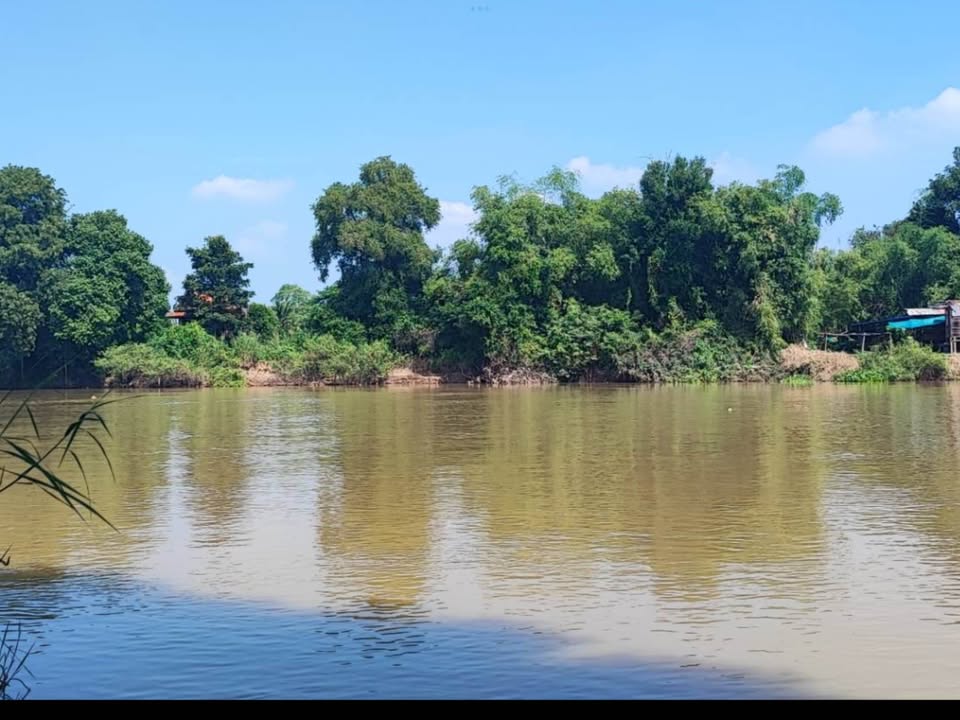 ที่ดินริมแม่น้ำป่าสัก อยุธยา ราคา 1.49 ล้าน