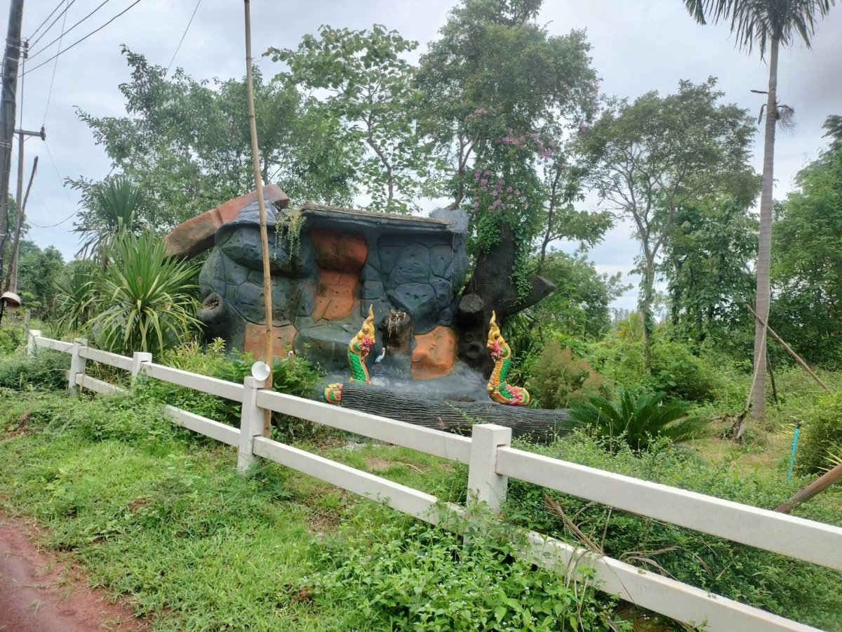 ขายสวนมะพร้าว