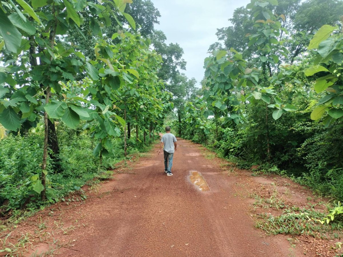 รูปที่ 2