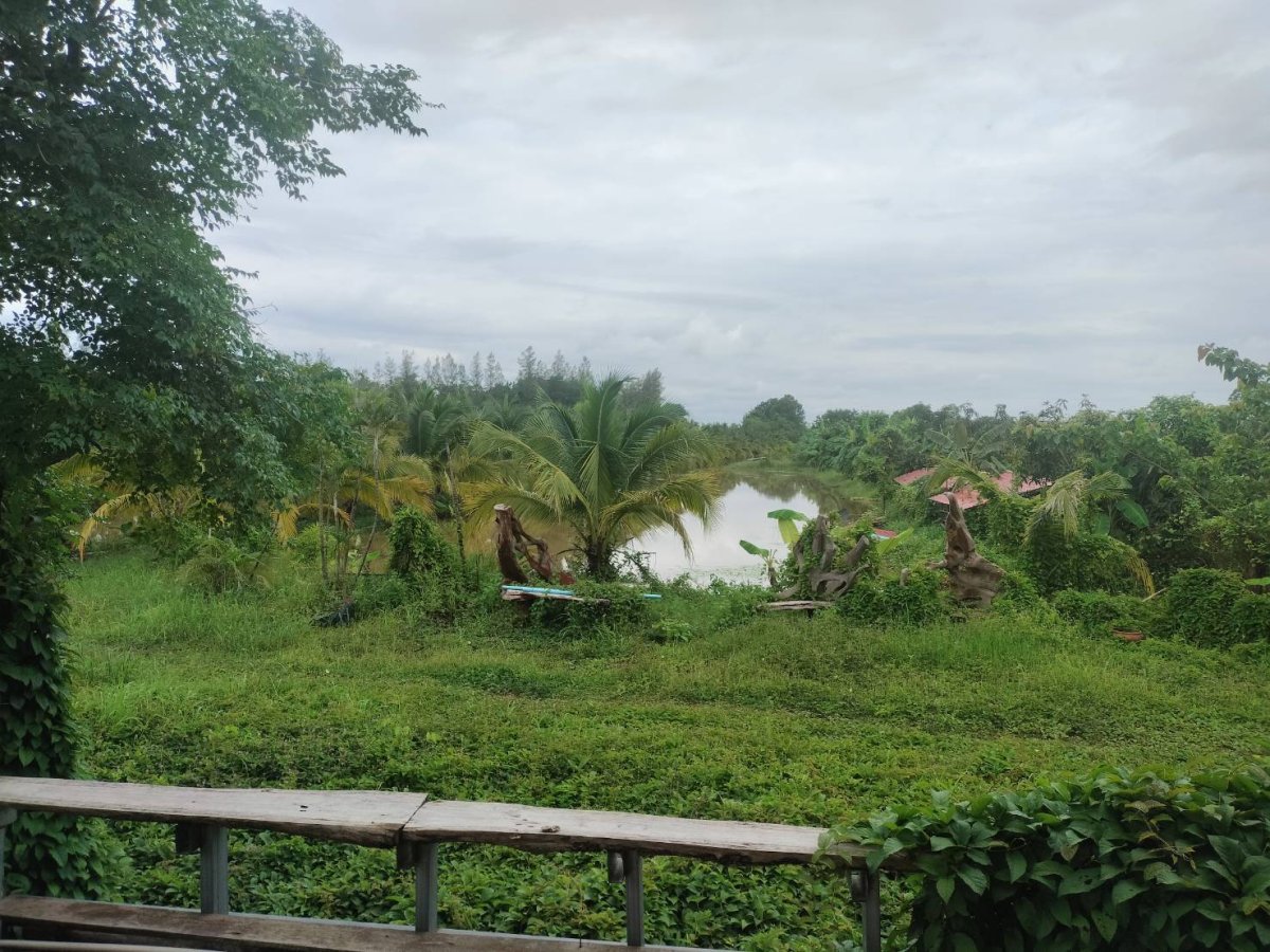 รูปที่ 3