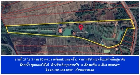 รูปที่ 5