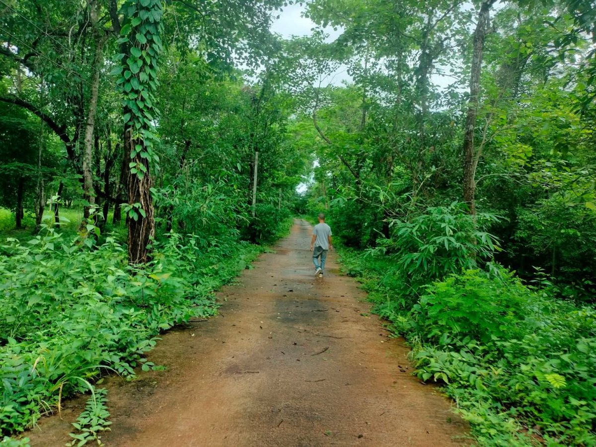 รูปที่ 3